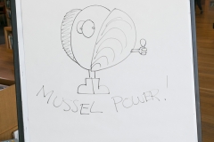 004_Mussel_Power