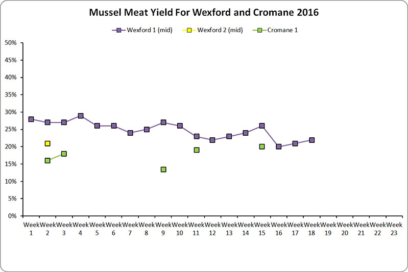 Wexford Cromane Meat Yield Graph 2016